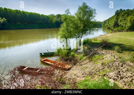 Hongrie, Tiszadada en été : les bateaux en bois reposent le long de la rive de la rivière Tisza, embrassés par les arbres, une scène pittoresque en été Banque D'Images