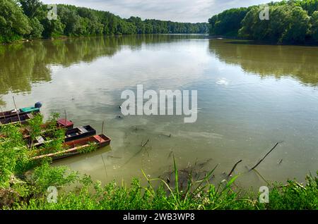 Hongrie, Tiszadada en été : les bateaux en bois reposent le long de la rive de la rivière Tisza, embrassés par les arbres, une scène pittoresque en été Banque D'Images