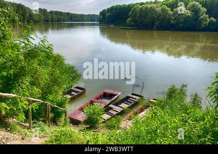 Hongrie, Tiszadada en été : les bateaux en bois reposent le long de la rive de la rivière Tisza, embrassés par les arbres, une scène pittoresque en été Banque D'Images