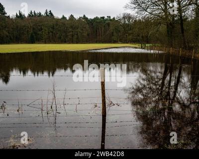 Utrecht, pays-Bas. 06 janvier 2024. On voit de l'eau inonder un champ. En raison des fortes pluies et des niveaux d'eau élevés, de nombreux champs agricoles sont inondés. Le sol n'est plus capable d'absorber l'eau, et beaucoup d'arbres sont tombés parce que les racines sont pourries. Ce week-end, les températures ont fortement chuté, ce qui donne de fortes chances de formation de glace, et le patinage sur glace pourrait devenir possible sur glace naturelle. Crédit : SOPA Images Limited/Alamy Live News Banque D'Images