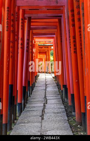 Torii au sanctuaire Otome Inari à Tokyo Banque D'Images