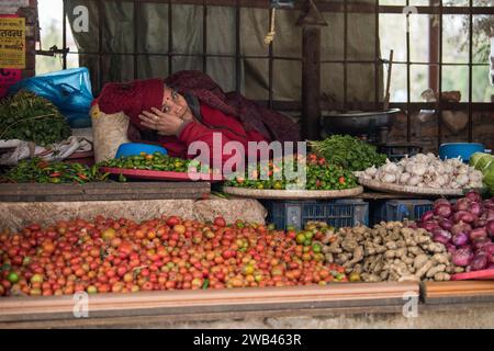 Katmandou, Népal - avril 20,2019 : négociant de légumes dans la rue de Katmandou. Banque D'Images