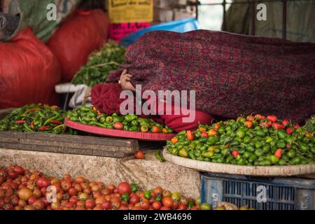 Katmandou, Népal - avril 20,2019 : négociant de légumes dans la rue de Katmandou. Banque D'Images