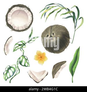 Noix de coco entières, moitiés et morceaux avec des feuilles de palmier tropicales, vertes et lumineuses et des fleurs de plumeria jaunes. Illustration à l'aquarelle dessinée à la main. Jeu de Banque D'Images