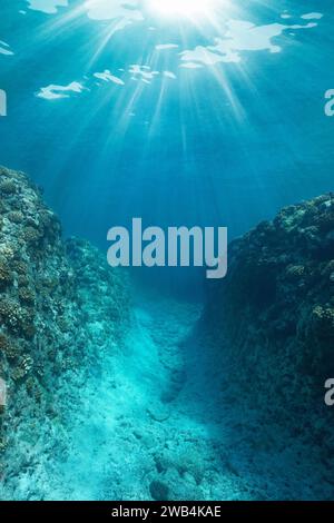 Tranchée sous-marine dans le récif avec lumière du soleil dans l'océan Pacifique, Polynésie française, scène naturelle Banque D'Images