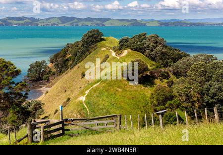 Paysage avec portes, clôtures et sentier de randonnée sur une ferme en activité dans le parc régional Duder, Île du Nord, Nouvelle-Zélande. Le sentier de randonnée mène au h Banque D'Images