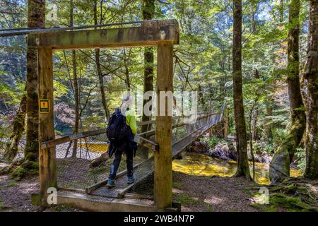 Passerelle au-dessus de Pig Creek sur le Borland nature Promenade à travers les forêts de hêtres indigènes des basses terres dans la zone du patrimoine mondial du parc national de Fiordland, te Wa Banque D'Images