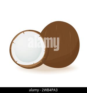 Noix de coco coupée en deux sur fond blanc. Illustration vectorielle. Illustration de Vecteur