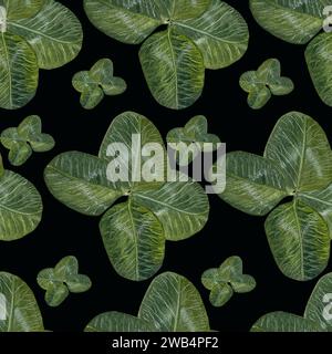 Motif floral aquarelle sans couture avec quatre feuilles de trèfle, fond noir Banque D'Images