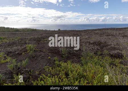 Un paysage de terres volcaniques à la Réunion, France Banque D'Images