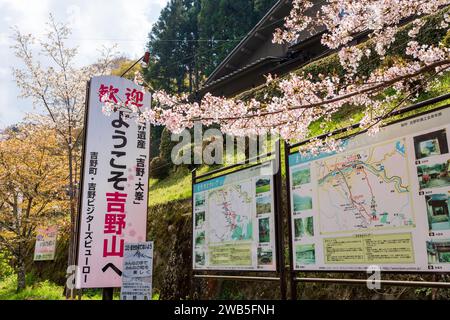 District de Yoshino, préfecture de Nara, Japon - 3 avril 2023 : cerisiers en fleurs au mont Yoshino, gare de Yoshino. Banque D'Images