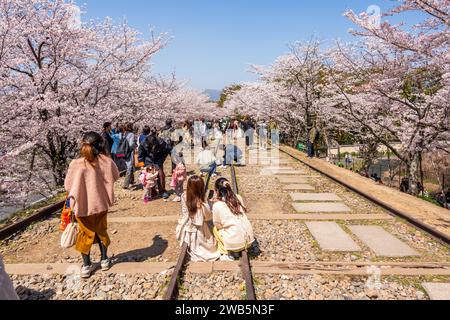 Les gens apprécient les cerisiers en fleurs le long de la voie ferrée désaffectée de Keage Incline. Kyoto, Japon. Banque D'Images