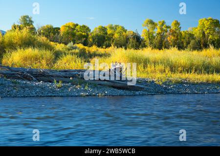 La rivière Missouri, New York, la pêche des îles du site d'accès, Broadwater County, Montana Banque D'Images