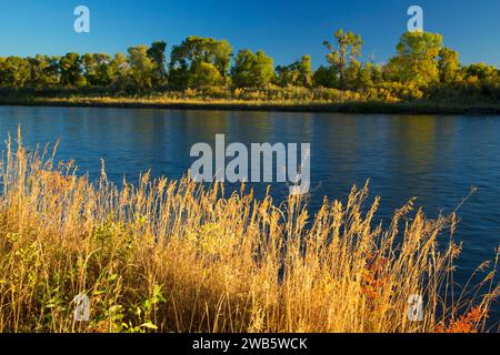 La rivière Missouri, New York, la pêche des îles du site d'accès, Broadwater County, Montana Banque D'Images