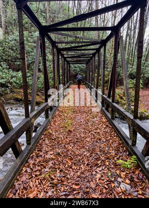 Une femme traverse un pont de Trestle dans les Smokies à la fin de l'automne Banque D'Images