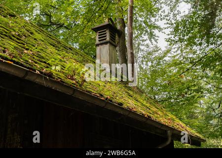 Dornbirn, Autriche, 14 septembre 2023 petit bâtiment en bois dans une forêt du canyon de Rappenloch Banque D'Images