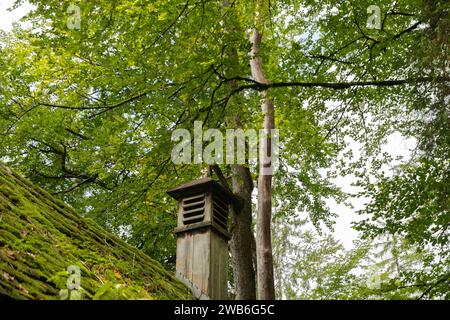 Dornbirn, Autriche, 14 septembre 2023 petit bâtiment en bois dans une forêt du canyon de Rappenloch Banque D'Images