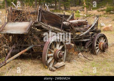 Wagon patiné ruine, Elkhorn, Beaverhead-Deerlodge National Forest, Montana Banque D'Images