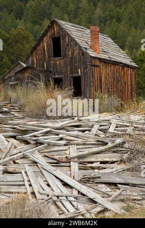 Cabine intempéries, Elkhorn, Beaverhead-Deerlodge National Forest, Montana Banque D'Images