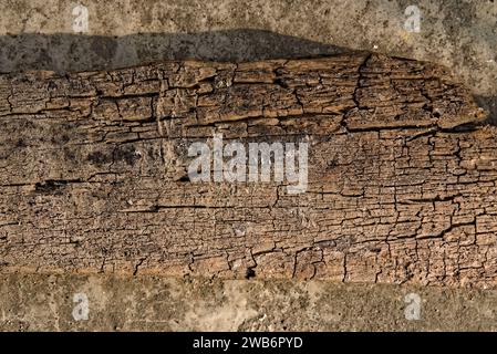vue de texture d'une vieille pièce de bois à moitié pourrie Banque D'Images