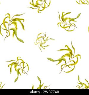 Plantes flottantes océaniques. Algues, algues vert jaune. Motif sans couture. Illustration aquarelle peinte à la main avec varech frais. Herbe sous-marine. Banque D'Images