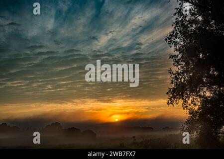 Cette image saisissante dépeint la majesté d'un lever de soleil sur des champs recouverts de brume. Le soleil apparaît comme un orbe ardent à l'horizon, sa lueur s'infiltre à travers le brouillard bas et projette une lumière ambre chaude sur le paysage. Au-dessus, le ciel est une toile dramatique de nuages texturés, allant de l'indigo profond à des nuances plus claires, suggérant les motifs météorologiques dynamiques du petit matin. La silhouette d'un arbre ancre la composition sur la droite, ajoutant de la profondeur et un sens de l'échelle à la vue expansive. Ce moment capturé suggère à la fois le dynamisme d’un nouveau jour et la beauté intemporelle de la nature. DRAM Banque D'Images