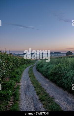 Cette image capture la tranquillité de tôt le matin dans la campagne. Une route de gravier serpente à travers des champs verdoyants, avec la première lumière de l'aube projetant une douce teinte bleue sur le paysage. Un champ de maïs est visible à gauche, signifiant une activité agricole, tandis que de hautes herbes bordent le chemin à droite. Le ciel clair est peint avec de délicates stries de nuages, faisant allusion au début d'une nouvelle journée. Au loin, une tour de communication solitaire se dresse contre le ciel de réveil, reliant ce cadre rural isolé au monde entier. L'ambiance générale de la photo est celle de la paix et le Banque D'Images