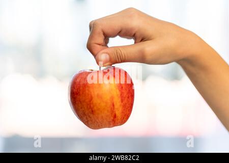 Gros plan photo studio d'une main femelle tenant une pomme fraîche. sur fond blanc. Pomme rouge. Banque D'Images
