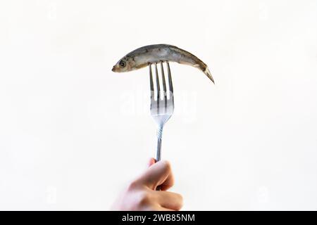 poisson sprat sur fourchette isolé sur fond blanc. Banque D'Images