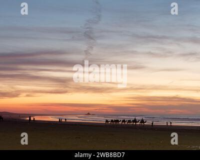 Coucher de soleil et nuages spectaculaires sur la plage tandis que les cavaliers de chameau font leur chemin le long de la rive dans la ville d'Essaouira, au Maroc. 8 janvier 2024 Banque D'Images