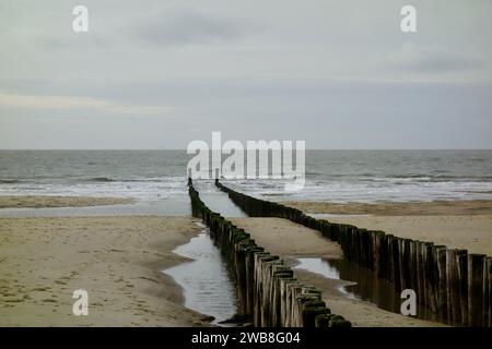 Une plage de sable avec des lignes de poteaux en bois s'étendant vers les eaux de l'océan Banque D'Images