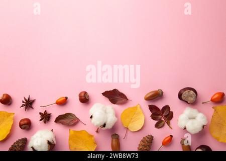 Composition automnale. Feuilles séchées, fleurs, baies sur fond rose. Photo verticale. Banque D'Images