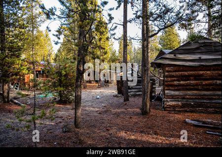 Une cabane rustique en rondins dans les bois. High Desert, Oregon, États-Unis Banque D'Images