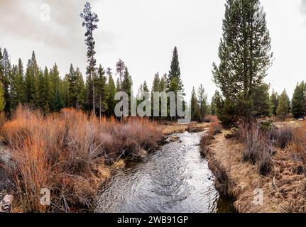 Un beau paysage avec un ruisseau serpentant à travers une zone herbeuse luxuriante. High Desert, Oregon Banque D'Images