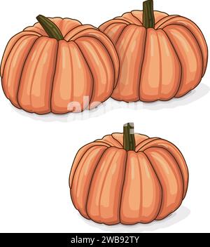 Groupe de citrouilles roses ou de courges de poupée de porcelaine. Courge d'hiver. Cucurbita maxima. Fruits et légumes. Clipart. Illustration vectorielle isolée. Illustration de Vecteur