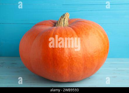 Citrouille orange fraîche sur fond bleu. Vue de dessus Banque D'Images