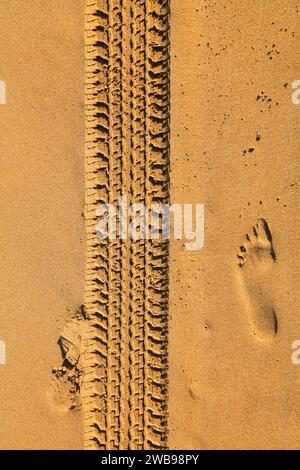 Pistes de pneus de voiture sur sable de plage au Maroc. Banque D'Images