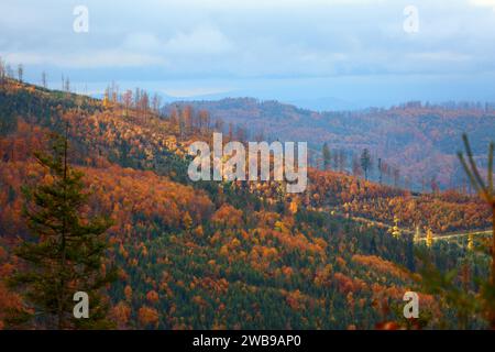 Paysage de Pologne en automne. Montagnes Beskids. Zywiec Beskids (Beskid Zywiecki) près de Wielka Racza et Rycerka Gorna. Banque D'Images