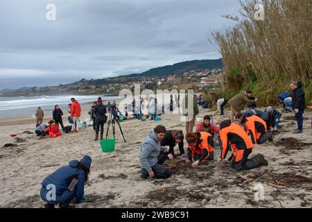 De nombreux bénévoles se sont rendus sur les plages de Galice pour ramasser des granulés de plastique tombés sur un bateau en utilisant des outils de base tels que des entonnoirs, des crépines, Banque D'Images