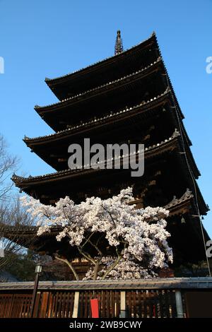 Kyoto, Japon. Pagode de Yasaka et fleurs de cerisier (sakura). Fait partie du site du patrimoine mondial de l'UNESCO. Banque D'Images