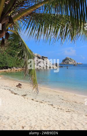 Île de Ko Tao en Thaïlande. Vacances à la plage thaïlandaise en décembre. Banque D'Images