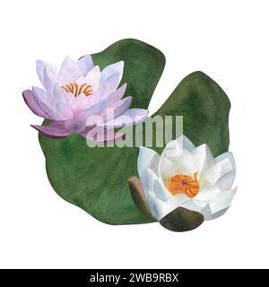 Aquarelle blanc violet feuille vert aquarelle peint à la main illustration florale isolée pour cartes postales spa yoga logo invitation fête des mères Journée des femmes Banque D'Images