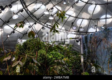 Une vue abstraite du toit au-dessus de l'exposition de forêt tropicale brumeuse et luxuriante à la California Academy of Sciences à San Francisco, Californie Banque D'Images