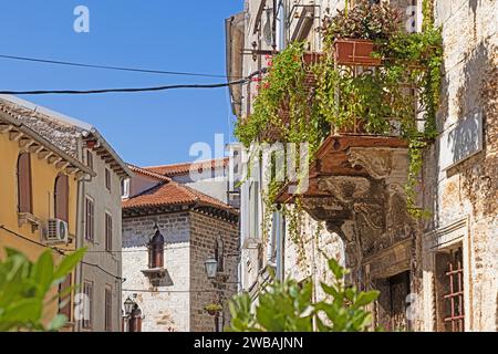 Photo sur un balcon en pierre sur une façade historique avec des fleurs et des plantes vertes à la lumière du jour Banque D'Images