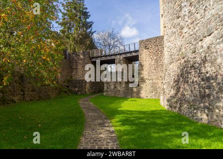 Ruines du château dans le village appelé Useldingen Banque D'Images