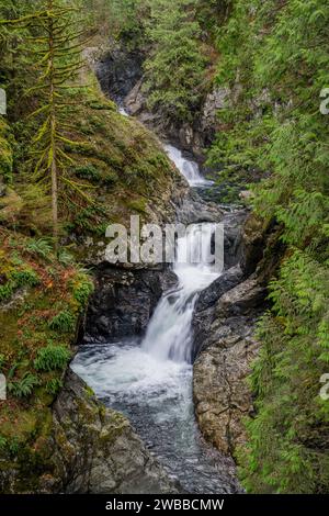 Vue de la cascade supérieure de Twin Falls dans le parc d'État d'Olallie, vallée de la rivière Snoqualmie près de North Bend dans l'État de Washington, États-Unis. Banque D'Images