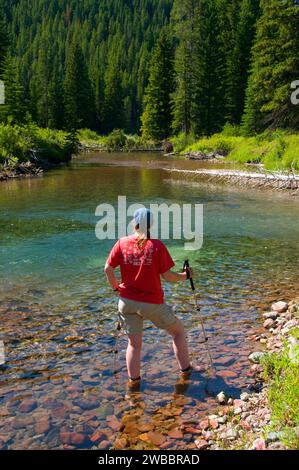 Confluence de Schafer Creek et Dolly Varden Creek, Great Bear Wilderness, Flathead National Forest, Montana Banque D'Images