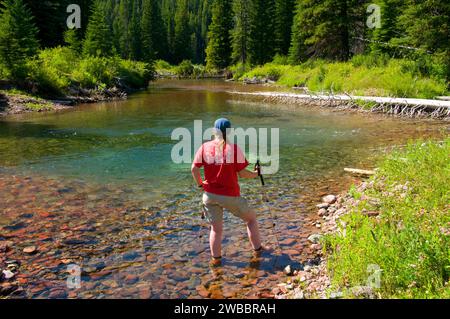 Confluence de Schafer Creek et Dolly Varden Creek, Great Bear Wilderness, Flathead National Forest, Montana Banque D'Images