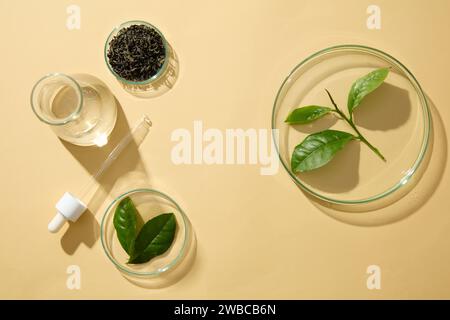 Fond beige avec concept de laboratoire pour la publicité cosmétique extraite du thé vert. Espace vide pour la présentation cosmétique. Le thé vert a longtemps Banque D'Images