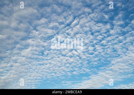 Nuages Cirrocumlus ou ciel maquereau. Highlands, Écosse Banque D'Images